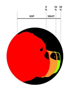 Stoplicht methode