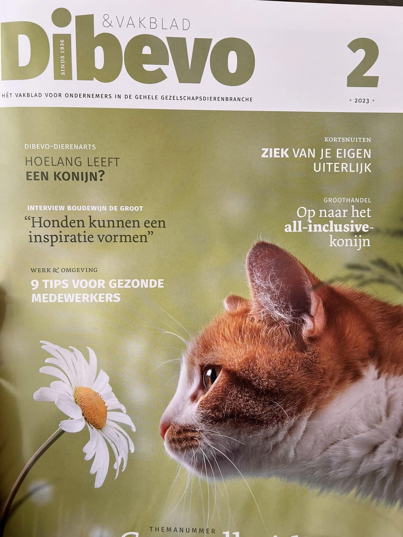 Artikel in Dibevo vakblad