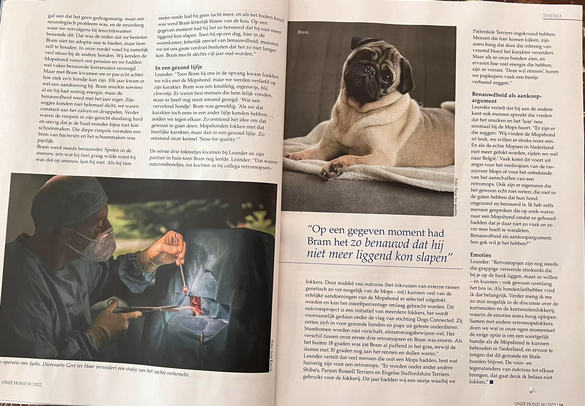 Artikel in “Onze hond”