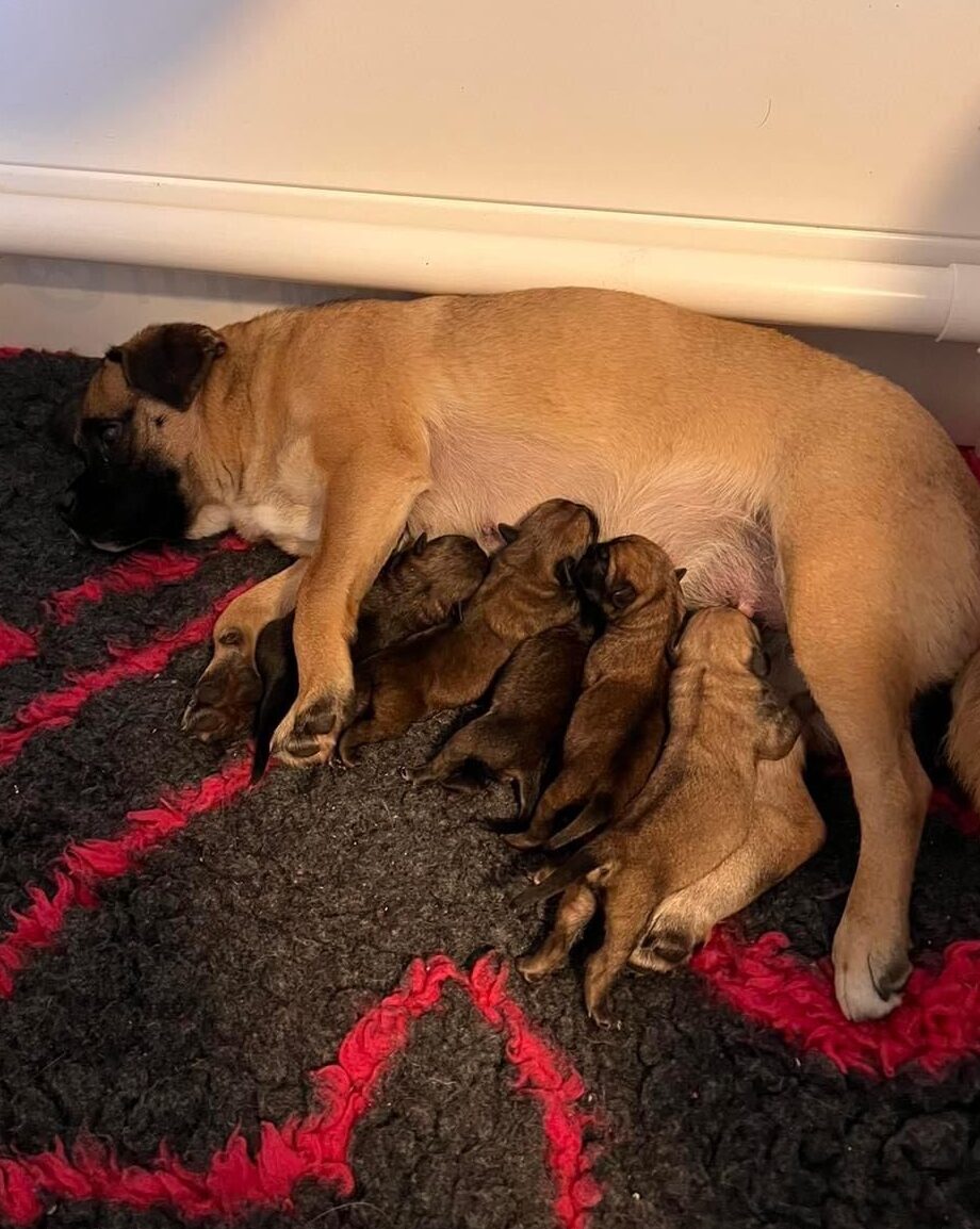 Babynieuws!